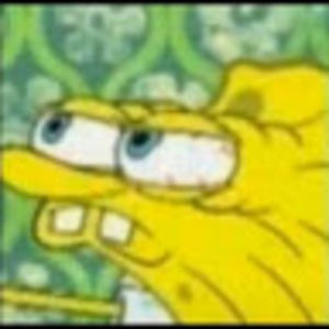 Meet your Posher, Sofia